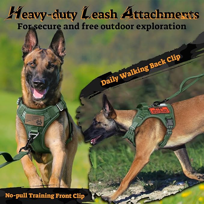 rabbitgoo Dog Harness Medium Sized No Pull, Tactical Service Pet Vest with Molle and Control Handle, Adjustable and Reflective Military Harness for Easy Walking and Training, Green, M-Mewly Pet