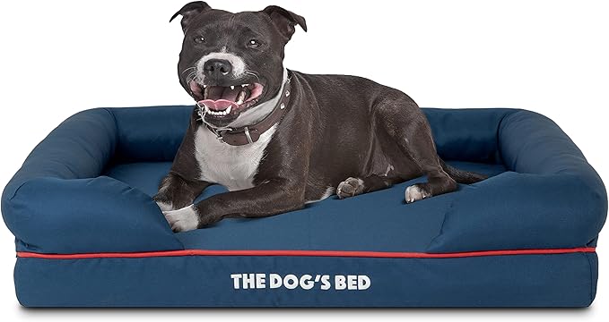 The Dog’s Bed, Medium Blue/Red 30x23.5, Memory Foam, Pain Relief: Arthritis, Hip & Elbow Dysplasia, Post Surgery, Lameness, Supportive, Calming, Waterproof Washable Cover, Veterinary Approved-Mewly Pet