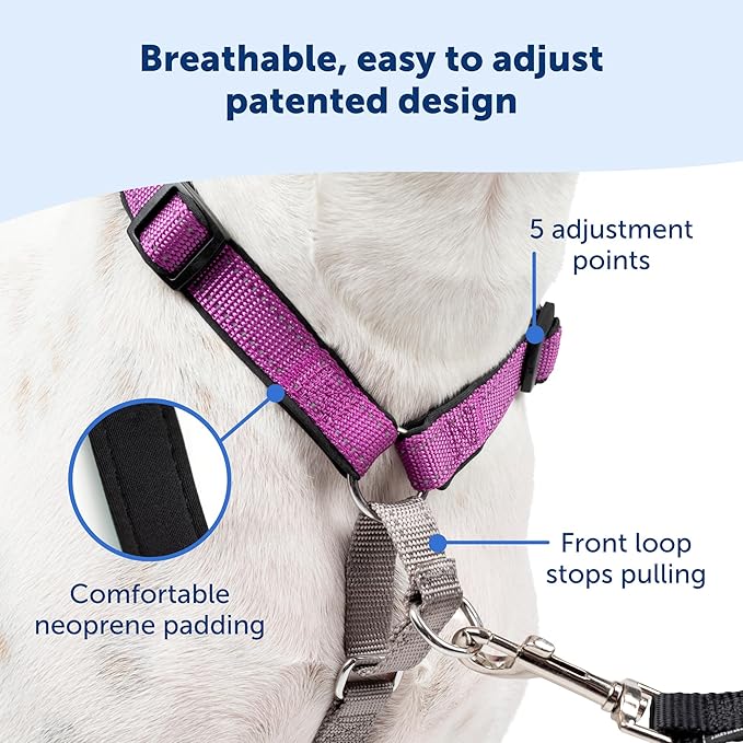 PetSafe 3 in 1 Dog Harness - No Pull Solution for Dogs - Reflective Dog Harness - Front D-Ring Clip Helps Stop Pulling - Comfortable Padded Straps - Top Handle Enhances Control - Teal - Large-Mewly Pet