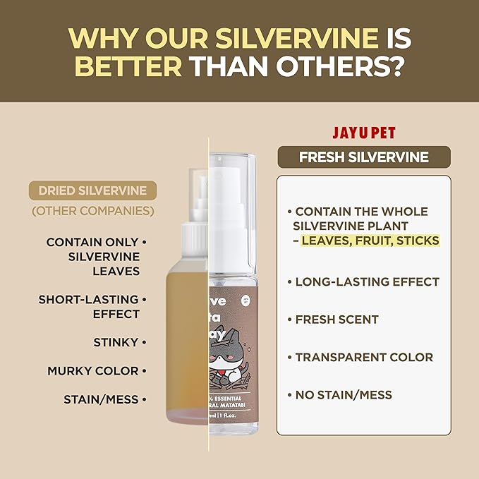 JAYU PET Active MATA Spray – 100% Natural Silvervine Spray for Cats, Liquid Catnip Alternative, Calming Spray for Indoor Kittens, Boosts Play & Engagement, Reduces Stress (1 fl oz)-Mewly Pet