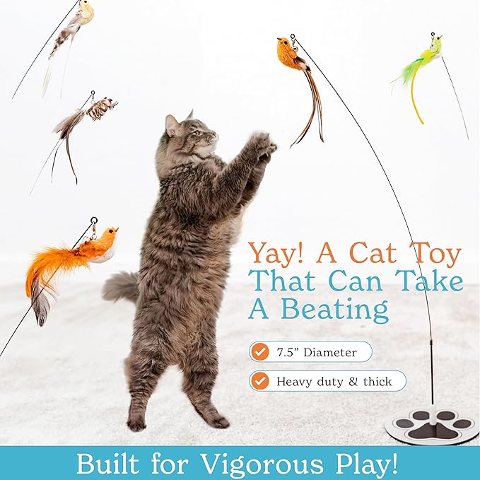 Interactive Bird Simulation Cat Toy Set for Bored Indoor Adult Cats Feather Toy Wand 5 Pcs Natural Bird Feathers Stable Round Base Wand Cat Toys for Indoor Cats Hunting Toys-Mewly Pet
