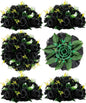 BLOSMON Flower Balls Wedding Rose Centerpieces 6 Pcs Black Fake Flowers Kissing Balls Decor Artificial Floral Arrangements Flower Bouquet of Roses Home Party Room Table DIY Decorations