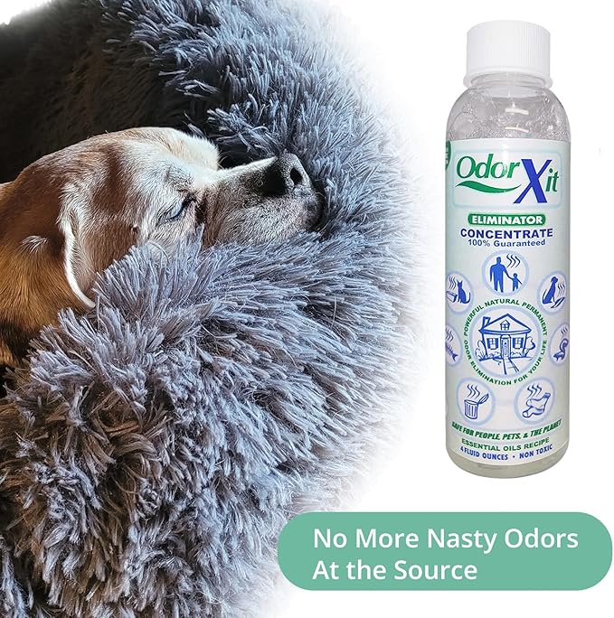 Pet Urine Odor Eliminator Spray 16oz + Concentrate 4oz – Natural, Safe & Effective Odor Neutralizer for Pets & Home-Mewly Pet