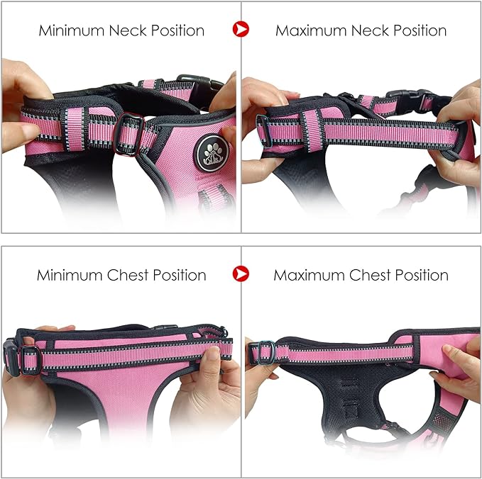 NESTROAD No Pull Dog Harness,Adjustable Oxford Medium Dog Harness with Leash,Reflective No-Choke Pet Vest Harness with Easy Control Soft Handle for Small Medium Large Dogs(M,Pink)-Mewly Pet
