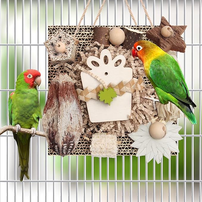 Kyouki Bird Toys, Parakeet Toys, Parrot Toy, Conure Hanging Chewable Cardboard Foraging Suitable for Budgies, Cockatiels, Lovebirds, Sun Conures - and Other Small/Medium Parrots (Medium)-Mewly Pet