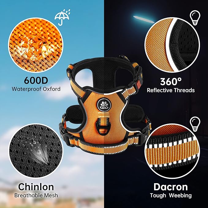 NESTROAD No Pull Dog Harness,Adjustable Oxford Dog Vest Harness with Leash,Reflective No-Choke Pet Harness with Easy Control Soft Handle for Small Dogs(Small,Orange)-Mewly Pet