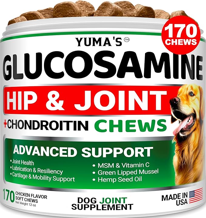 YUMA'S Glucosamine for Dogs - Hip and Joint Supplement for Dogs - 170 Ct - Glucosamine Chondroitin Chews - Joint Pain Relief Supplement with MSM - Advanced Health - Mobility Support - Made in USA-Mewly Pet