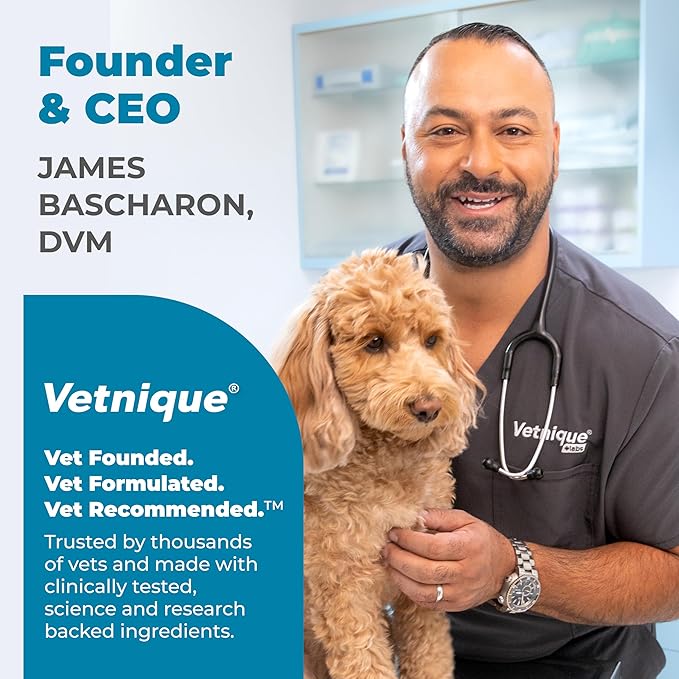 Vetnique Glandex Daily Probiotics for Dogs with Prebiotics to Support Gut Health with Fiber and Digestive Enzymes, Probiotic Chews or Powders (60ct Chews, Bacon Chews)-Mewly Pet