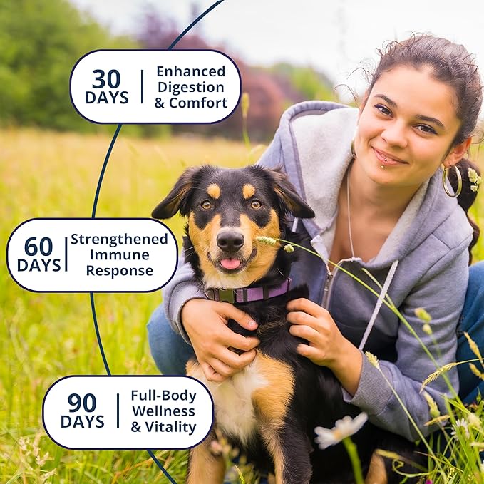 NOVEHA Probiotic Chews for Dogs | Ultimate Gut Health & Digestive Support | for Healthy Skin & Coat | Relieves Itching & Paw Licking | Probiotics for Pet Dogs with Allergies (180 Chews 2-Pack)-Mewly Pet