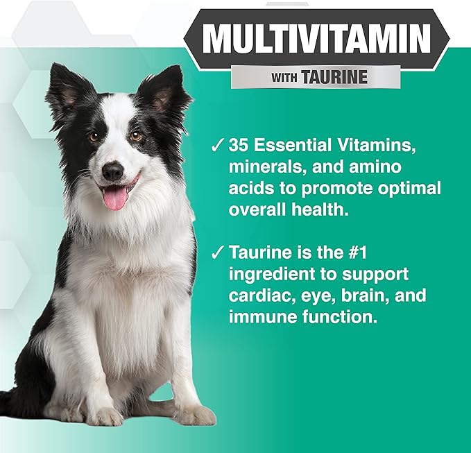 Nootie PROGILITY Daily Multivitamin Chews for Dogs - Supports Immunity, Heart, Eye, Brain, and Bone Health with Taurine- for All Dog Sizes - 90 Soft Chews. - Sold in Over 5,000 Pet Stores-Mewly Pet