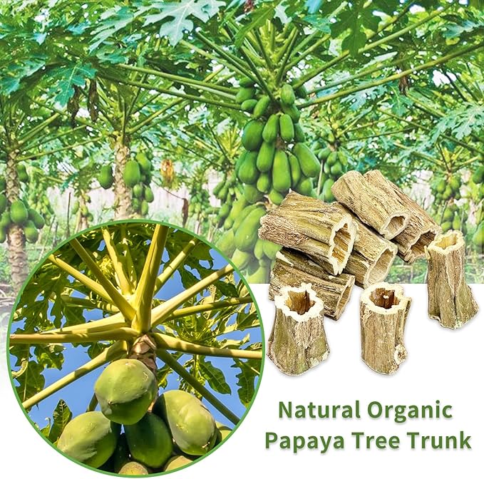 Fhiny Rabbit Chew Toys, 8 PCS 2" Natural Papaya Wood Chew Sticks Guinea Pig Treats for Dental Care Bunny Treats for Rabbits Small Pet Molar Snacks for Bunny Guinea Pig Chinchilla Hamster Gerbil-Mewly Pet