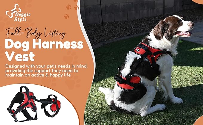 Doggie Stylz Multi-Functional Full-Body Lifting Dog Harness Vest, Designed for Front-Only, Rear-Only or Full-Body Dog Lifting. Please Measure Before Ordering.-Mewly Pet
