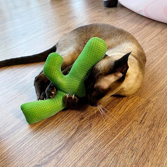 TTcat Catnip Silvervine Matatabi Pillow for Cats & Kittens,Large Cat Cactus Toy Cat Kicker Toy Chew Toy for Indoor Cats.-Mewly Pet