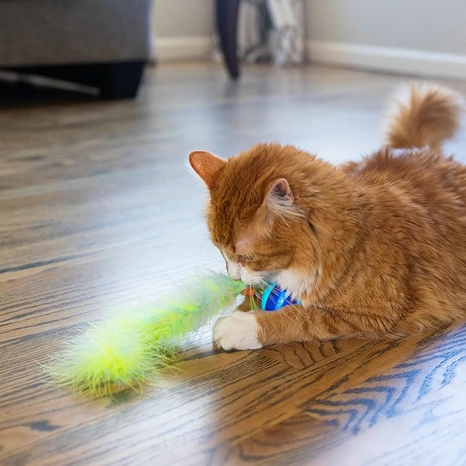Catstages Roll & Chase Robot Toy –Interactive Electronic Cat Toy for Indoor with Feather Teaser Tail, Lights, USB Rechargeable, Automatic Moving Action for Active Play, Mental Stimulation & Enrichment-Mewly Pet