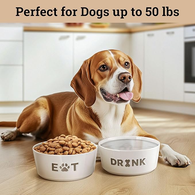 Ceramic Dog Bowl Set of 2 with Anti-Skid Base - 6.5" Wide x 2.5" Tall Ceramic Dog Bowls Medium Sized Dogs - 3.8 Cup Capacity Food and Water Bowls for Dogs - Rubber Bottom Pet Bowl Set of 2 Medium Size-Mewly Pet
