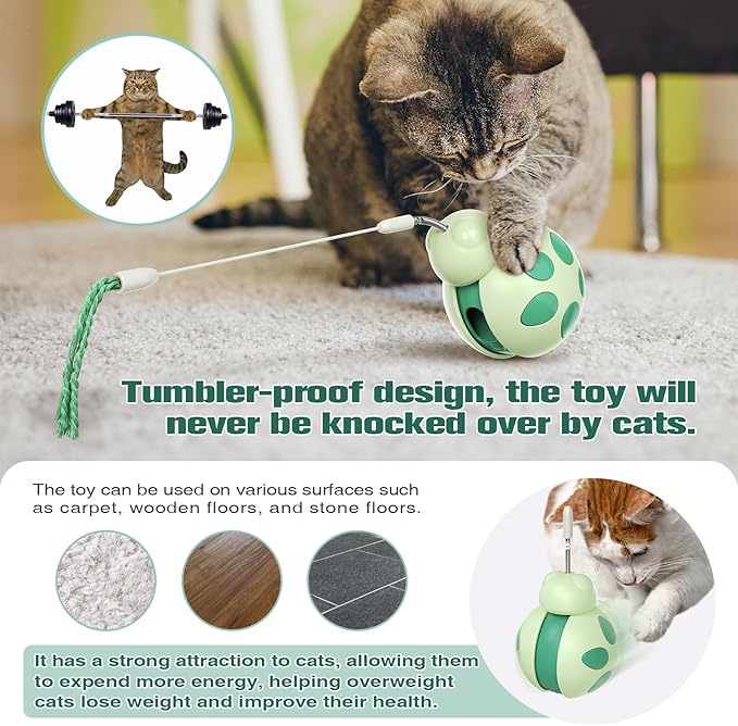 Cat Treat Interactive Toy, Indoor Puzzle Slow Feeding Mental Stimulation Sliding Rolling Cat Toy Ball with Cat Teaser, Cat Treat Dispenser Toy for Large, Medium and Small Cats (Green, ladybug)-Mewly Pet