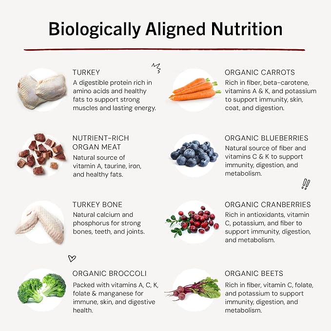 Stella & Chewy's Freeze-Dried Raw Dinner Patties - Turkey Recipe - High Protein Grain-Free Puppy & Dog Food - Perfect For Picky Eaters - 5.5 oz-Mewly Pet