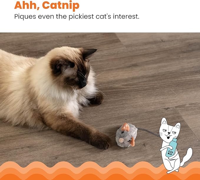 Catstages Squeak Squeak Mouse Cat Toy with Touch-Activated Sound & Catnip, Gray-Mewly Pet