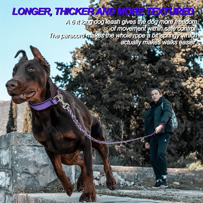 Dog Leash Rope Chain, Nylon Rope Metal Chain for Pet Leads. 6ft Heavy Duty Chew Proof Training Walking for Medium Large Dogs. (Medium, Purple&Black)