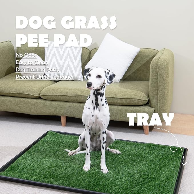 MEEXPAWS Dog Grass Pee Pads for Dogs with Tray | Medium 31×21 in | 2× Dog Artificial Grass Pads Replacement| Rapid Drainage | Indoor Litter Box | Hemmed Edge-Mewly Pet