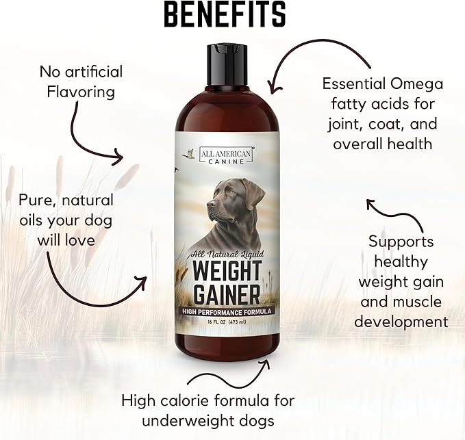Dog Weight Gainer Liquid – High Calorie Dog Food Supplement for Rapid Weight Gain, Mass, and Recovery – Appetite Stimulant – 60 Servings-Mewly Pet