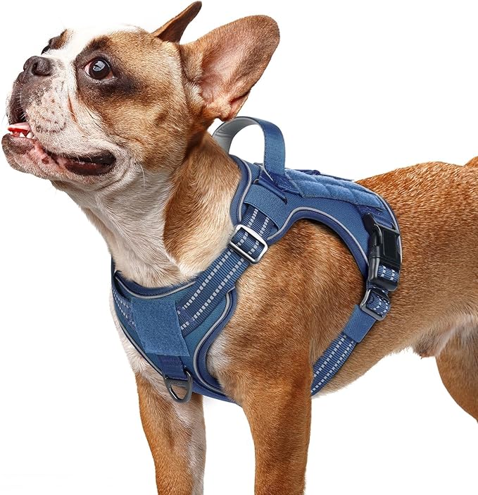 rabbitgoo Dog Harness Small Sized No Pull, Tactical Service Pet Vest with Molle and Control Handle, Adjustable and Reflective Military Harness for Easy Walking and Training, Blue, S-Mewly Pet