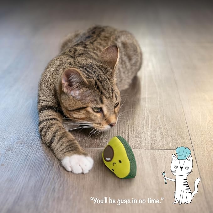 Catstages Lil' Avocato Cat Toy, Interactive Plush Avocado with Catnip, Kicker & Chew Toy for Indoor Cats, Encourages Active Play, Mental Stimulation, Dental Health, and Solo Fun, Green-Mewly Pet