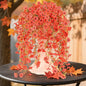 6 Bundles Artificial Fall Flowers for Outdoors Fake Plants Garden Home Fall Decor,UV Resistant Realistic Silk Faux Autumn Flower Indoor Outside Front Porch Patio Balcony Yard Farmhouse(Orange)