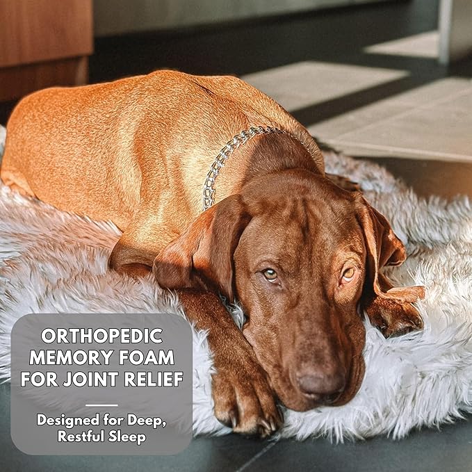 IHAPPYDOG Luxury Faux Fur Orthopedic Dog Bed, Memory Foam Dog Bed for Small, Medium, Large and XL Pets, Fluffy Pet Bed with Waterproof and Washable Cover (White w/Brown Tips, 60"x35")-Mewly Pet