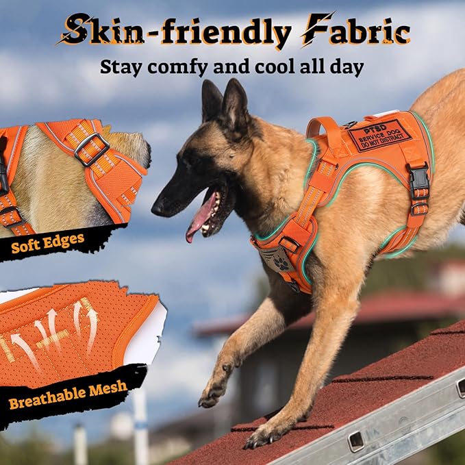 rabbitgoo Dog Harness Medium Sized No Pull, Tactical Service Pet Vest with Molle and Control Handle, Adjustable and Reflective Military Harness for Easy Walking and Training, Orange, M-Mewly Pet