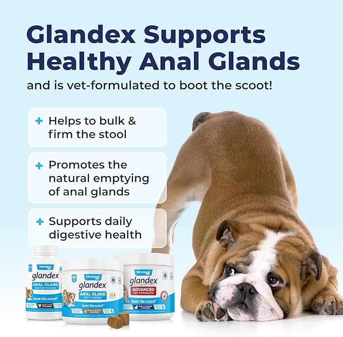 Vetnique Glandex Anal Gland Soft Chew Treats with Pumpkin for Dogs Digestive Enzymes, Probiotics Fiber Supplement for Dogs Boot The Scoot (Advanced Strength Duck/Bacon Chews (Vegetarian), 60 Ct)-Mewly Pet