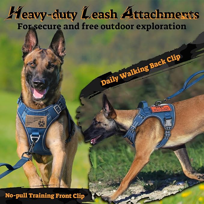 rabbitgoo Dog Harness for Large Dogs No Pull, Tactical Service Pet Vest with Molle and Control Handle, Adjustable and Reflective Military Harness for Easy Walking and Training, Blue, L-Mewly Pet