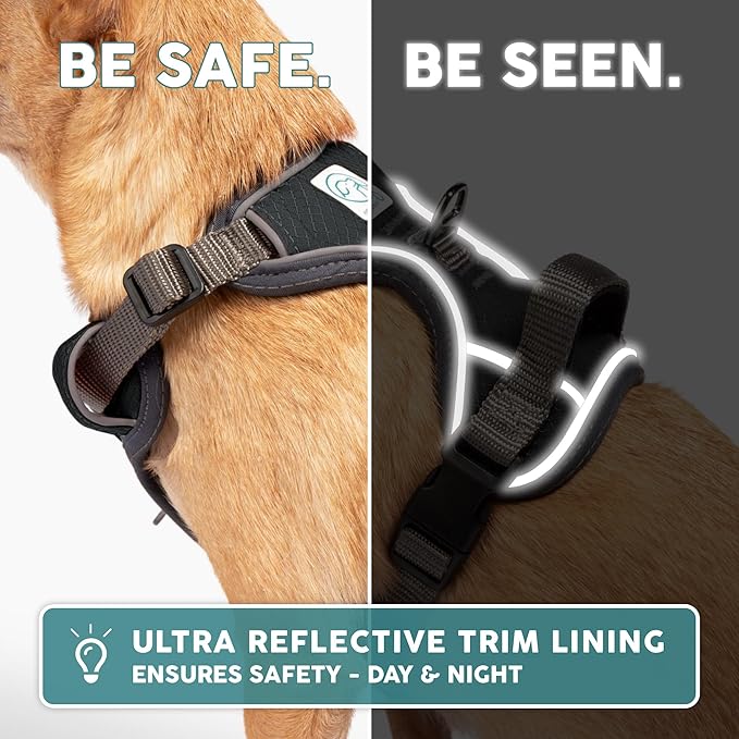 Embark Adventure Dog Harness, Reflective Trim XL Harness for Extra Large Dogs No Pull - Military Grade Nylon, 2 Leash Clips & Gel Lined Handle. Soft & Padded Puppy Dog for Any Breed-Mewly Pet