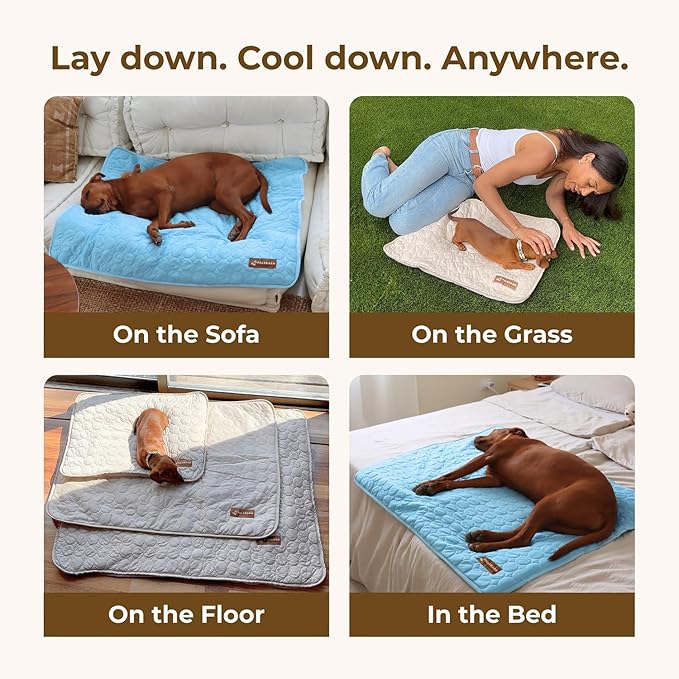 Dog Cooling Mat- Ice Silk Summer Comfort, Self Cooling, Non-Slip Dog Pad, Durable & Washable, Mat for Large Dogs 65x95 cm, Support Shelter Dogs with Every Purchase (Beige)-Mewly Pet