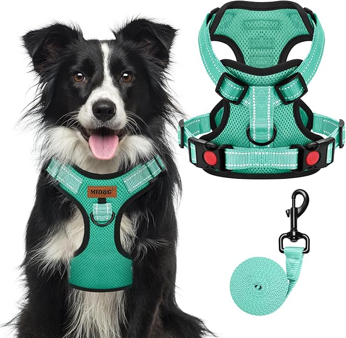 MIDOG No-Pull Dog Harness | Adjustable & Reflective Pet Harness Leash Set for Small Medium Large Dogs Walking, Training| No Choke, Front Clip, Soft Padded Vest with Easy Control Handle - Green, XL-Mewly Pet