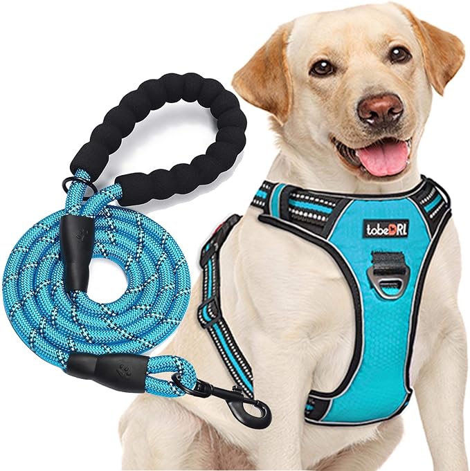 No Pull Dog Harness Adjustable Reflective Oxford Easy Control Medium Large Dog Harness with A Free Heavy Duty 5ft Dog Leash (M (Neck: 14.5"-20.5", Chest: 22"-28"), Blue Harness+Leash)-Mewly Pet