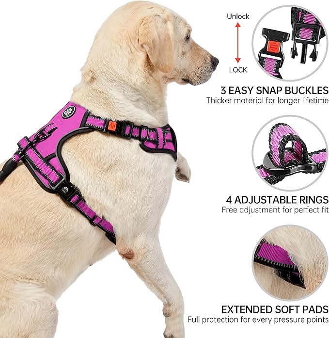 NESTROAD No Pull Dog Harness,Adjustable Oxford Dog Vest Harness with Leash,Reflective No-Choke Pet Harness with Easy Control Soft Handle for Large Dogs(Large,Fuchsia Pink)-Mewly Pet