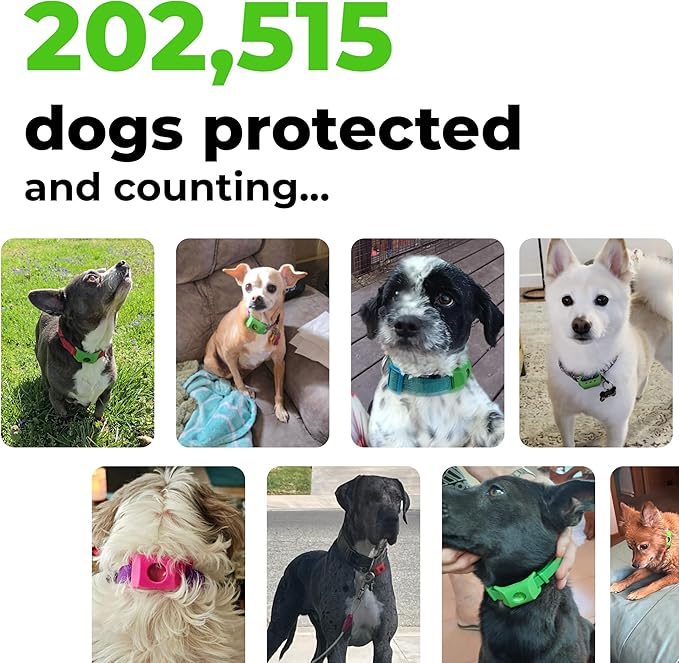 FurLife Green Dog Tag, Flea and Tick Prevention for Dogs - Waterproof Pendant for Collar, Safe for All Breeds-Mewly Pet