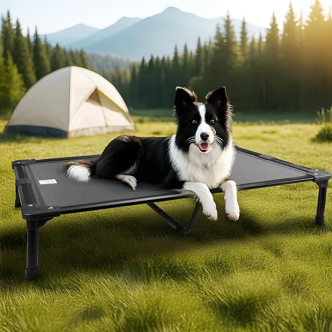 Sytopia 42'' Outdoor Elevated Dog Bed for Large Dogs, Chew-Proof Pet Camping Raised Cot with Breathable Mesh - Durable Frame, Cooling Hammock Style, Anti-Slip Base, Water-Resistant, Easy Clean-Mewly Pet