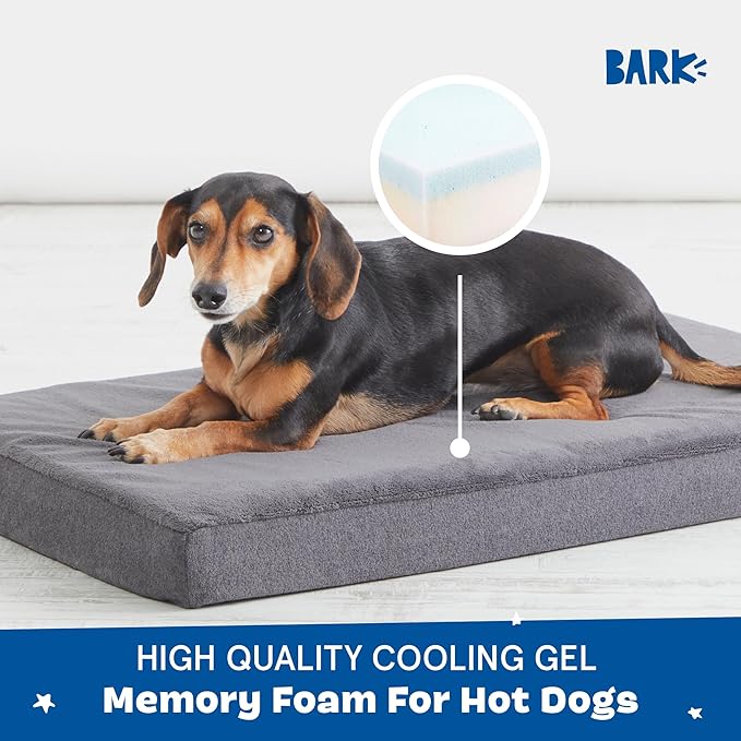 Barkbox Orthopedic Dog Bed with Memory Foam, Premium Comfort for Dogs and Puppies, Dog Beds for Joint Relief and Restful Sleep, Durable and Easy to Clean - Grey, Medium-Mewly Pet