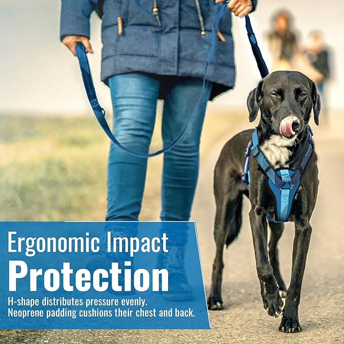 No-Pull Dog Harness with Handle - Escape Proof, Anti-Pulling, Grip Control, Multi-Angle Reflective for Safe Walks & Training, Easy On & Off, Metal Buckle–Pet Harness, Medium/Large Dogs- H3- Blue-Mewly Pet