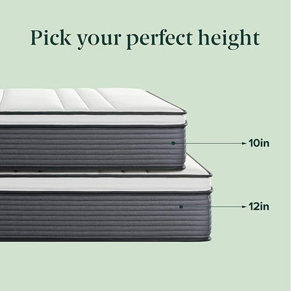 ZINUS 12 Inch True Support Hybrid Mattress [New Version], Full, Fiberglass Free, Medium Feel, Motion Isolation, Certified Safe Foams & Fabric, Mattress in A Box