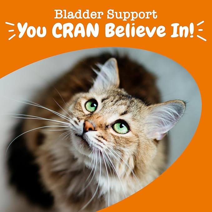 Zesty Paws Cranberry Urinary Tract Bites for Cats - Kidney & Urinary Tract Health - Soft Chews with D-Mannose, Vitamin B6 & L-Arginine - Immune & Gut Support - Bacon - 60 Count-Mewly Pet