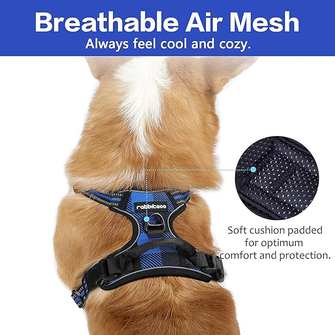 rabbitgoo Dog Harness No-Pull, Comfortable Padded Plaid Harness with Handle Easy Control, Adjustable Reflective Pet Vest with 2 Leash Clips for Small Dog, Blue Plaid, S-Mewly Pet