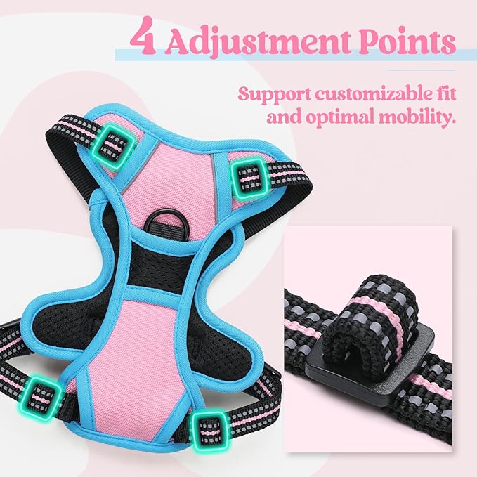 rabbitgoo Dog Harness No Pull with 2 Leash Clips, Adjustable Soft Padded, Reflective Oxford No Choke Pet Vest with Easy Control Handle for Puppy, Pink & Blue, XS-Mewly Pet