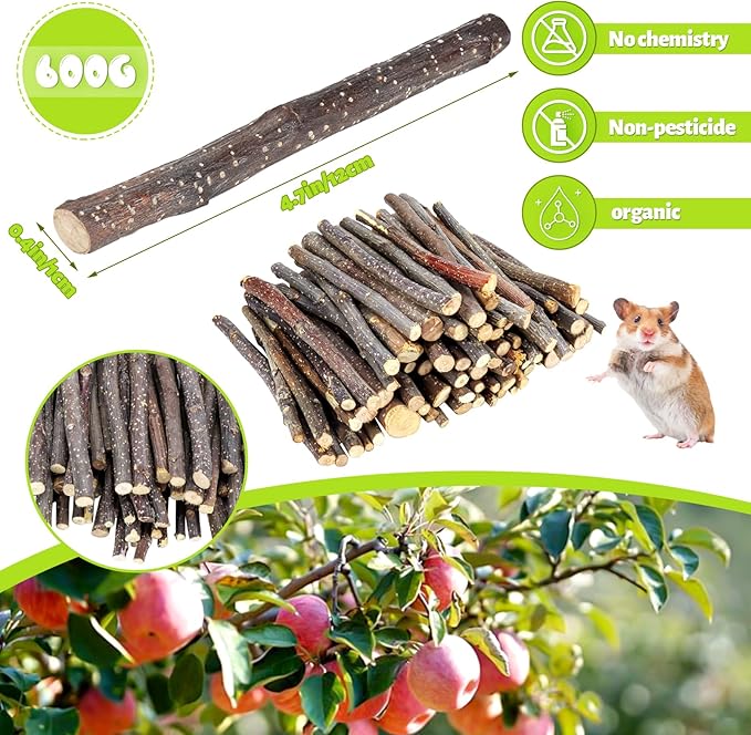 600g Small Apple Sticks Animals Molar Wood Treats Toys for Rabbits Chinchillas Guinea Pig Hamster Gerbil Parrot Bunny Chew Stick Toys Treats, 21.2 OZ-Mewly Pet