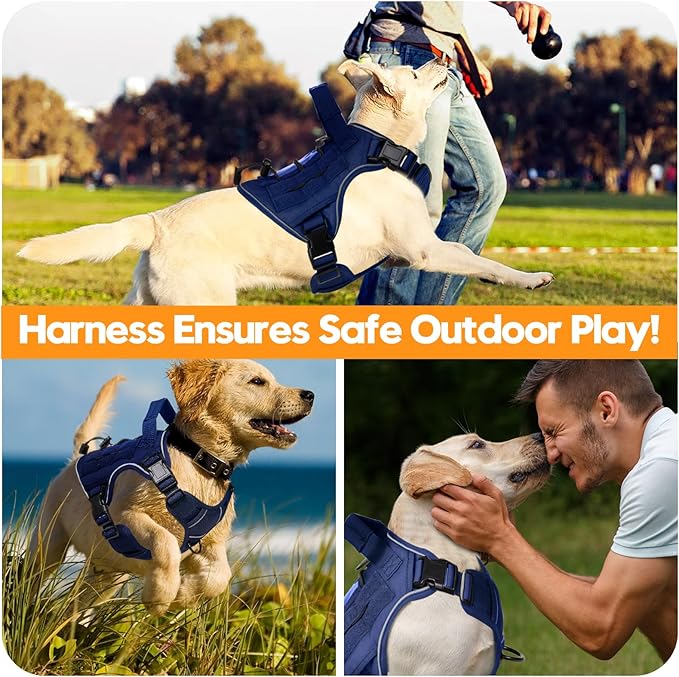 Heavy-Duty Tactical Dog Harness for Large Dogs, No Pull Adjustable Reflective Pet Vest with Molle System, K9 Military-Grade Control for Service Training, Outdoor & 10+ Breeds, Dazzling Blue, Small-Mewly Pet