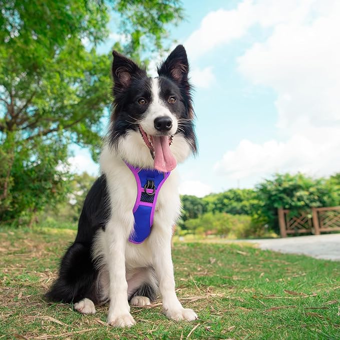 PHOEPET 2019 Upgraded No Pull Dog Harness, Reflective Adjustable Vest, with a Training Handle + 2 Metal Leash Hooks+ 3 Snap Buckles +4 Slide Buckles(XL, Royal Blue)-Mewly Pet