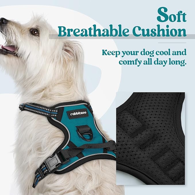 rabbitgoo Dog Harness No Pull with 2 Leash Clips, Adjustable Soft Padded, Reflective Oxford No Choke Pet Vest with Easy Control Handle for Puppy, Blue Coral, XS-Mewly Pet