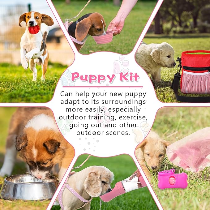65 Pcs Puppy Supplies Starter Kit Small Dog Essentials Includes Dog Leash, Toys, Bowl, Brushes, Water Bottles, pet Blankets Puppy Accessories for New Welcome Gift Supplies(Cute,Pink)-Mewly Pet